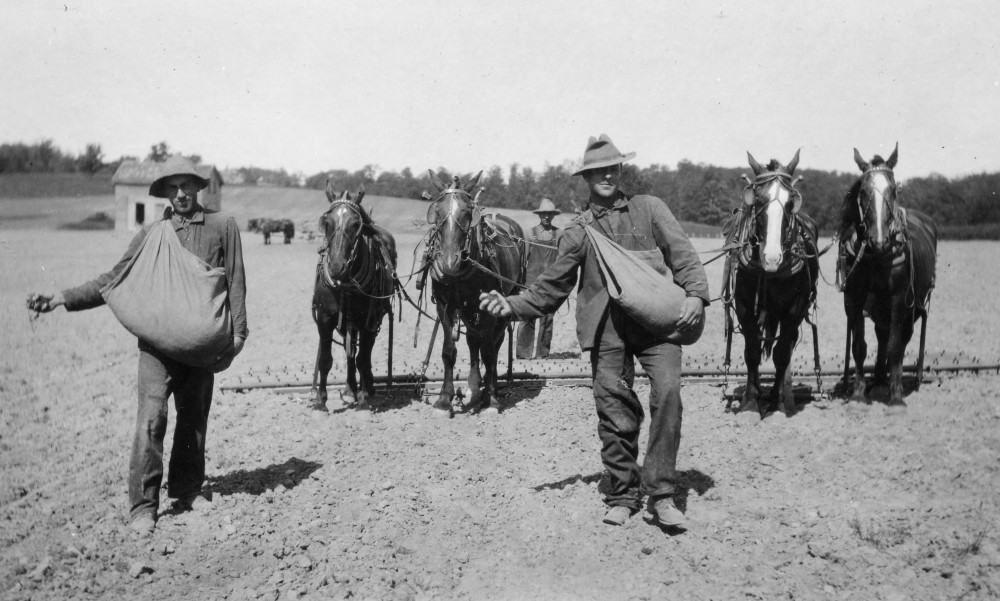 Jayson Swartz (L) and another man broadcast alfalfa seed by hand, followed by another man with a team of horses pulling a harrow.
