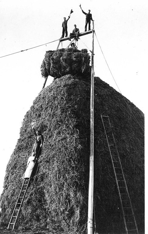 Celebrating on a finished haystack, Cornfalfa Farms, Waukesha County, Wisconsin, 1913. 