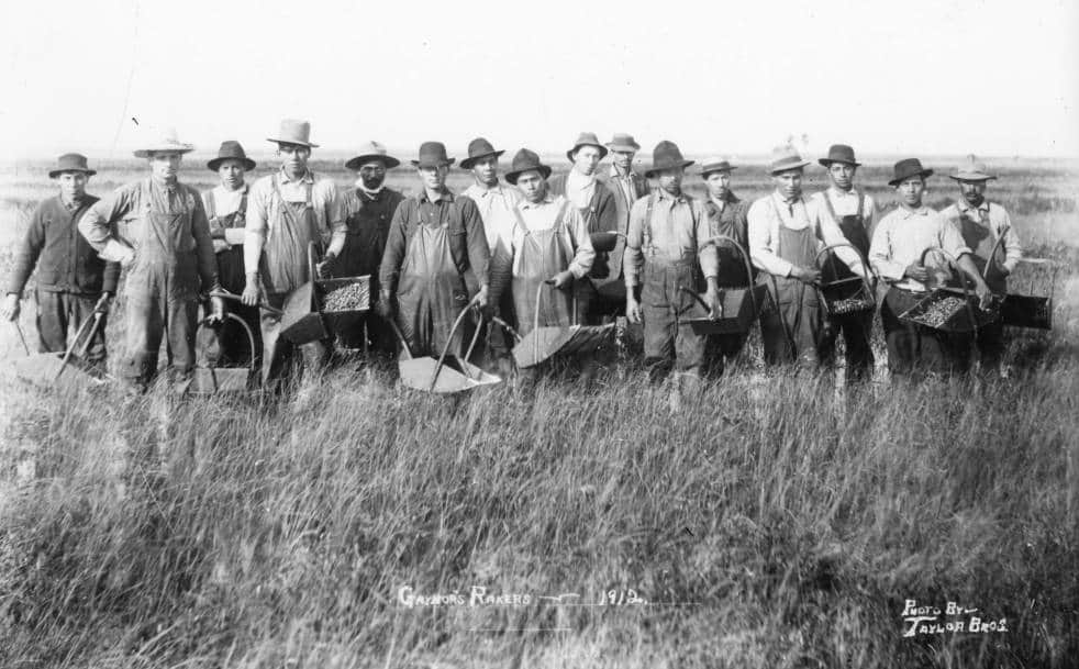 Cranberry harvesters, 1912. South Wood County Historical Corporation.