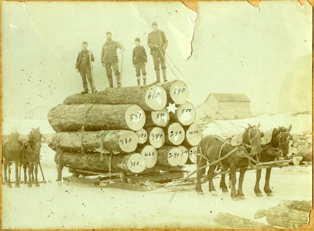 A logging crew poses on a sled pulled by a horse team. The numbers written on the logs represent the number of board feet in each log. Langlade County Historical Society.