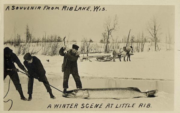 Tall-tale Postcard: Winter Scene at Little Rib