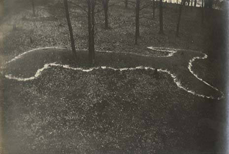 Rabbit Mound, part of the McConnell Mound Group on the western shore of Lake Waubesa, Dane County. Photograph by George R. Fox, 1919. Logan Museum of Anthropology at Beloit College.