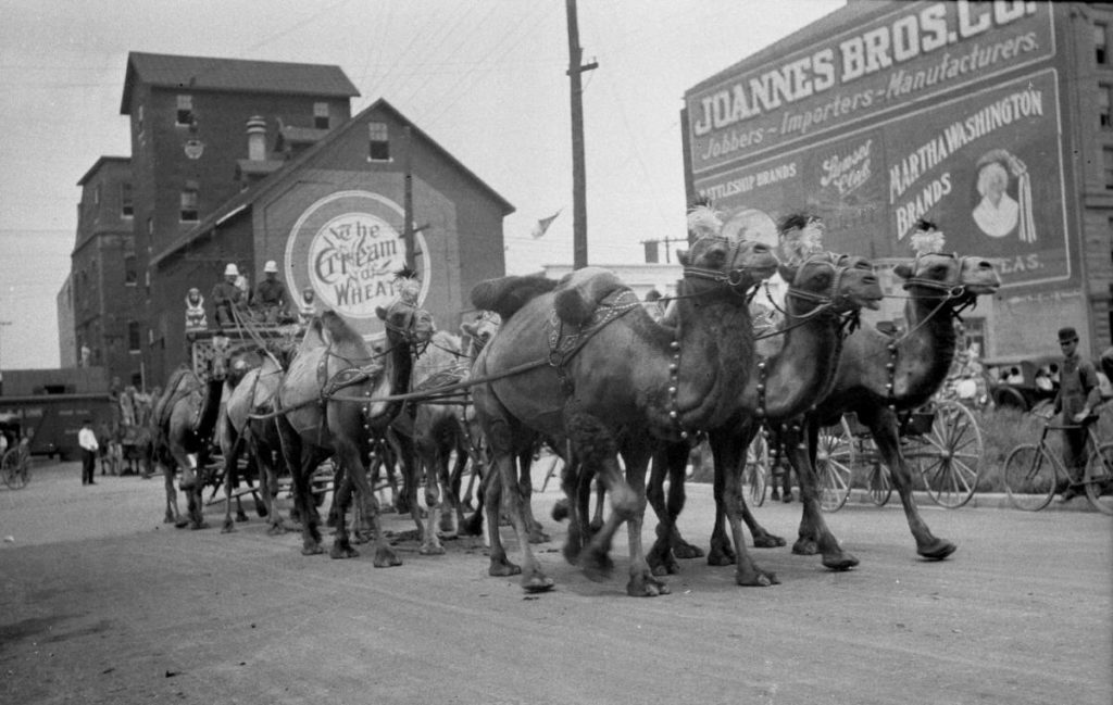 Ringling Bros. circus parade in Green Bay, Wisconsin, photo by William Temple, Oconto Falls. From the Oconto Falls Memory Project, Oconto Falls Community Library.