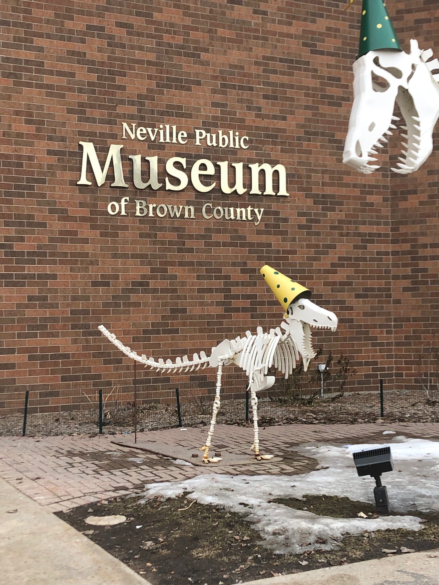 neville museum dinosaurs