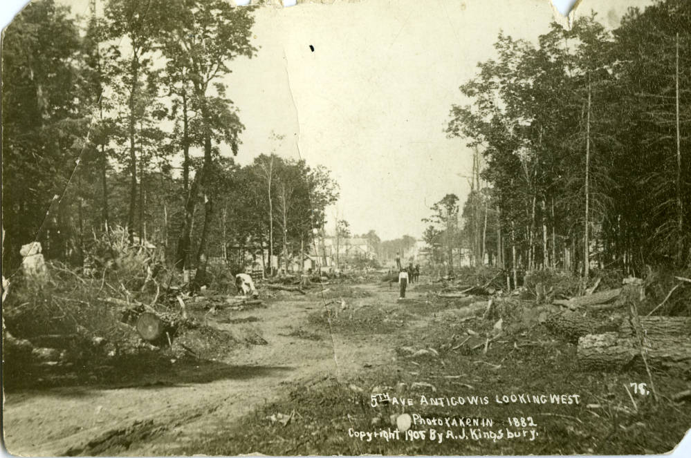 Copy of a 1882 view of Fifth Avenue in Antigo showing the clearing of trees, reproduced as a postcard in 1908.